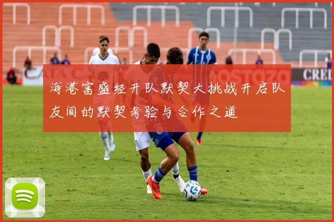 海港富盛经开队默契大挑战开启队友间的默契考验与合作之道